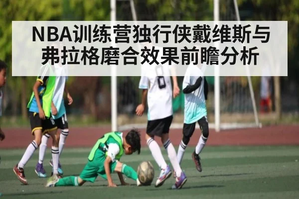 NBA训练营独行侠戴维斯与弗拉格磨合效果前瞻分析 | CQ9